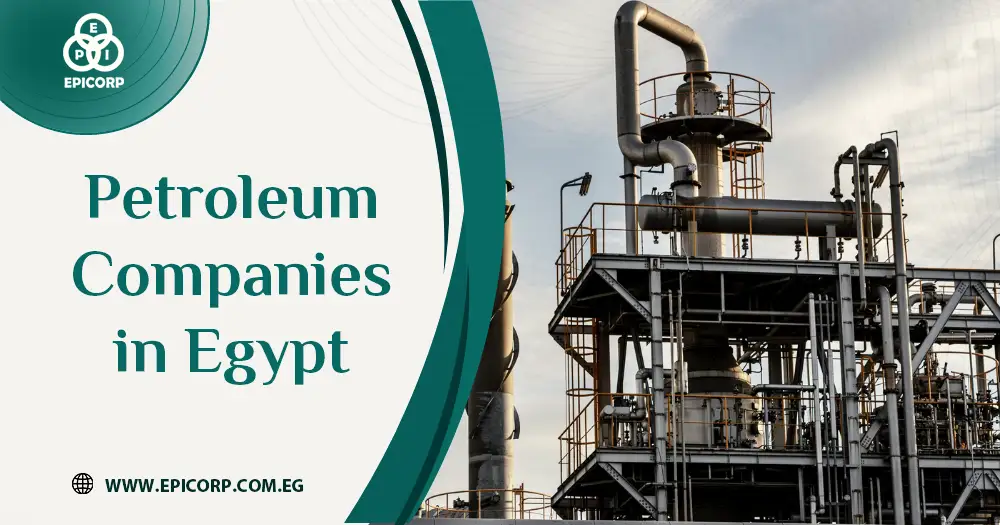 petroleum companies in egypt